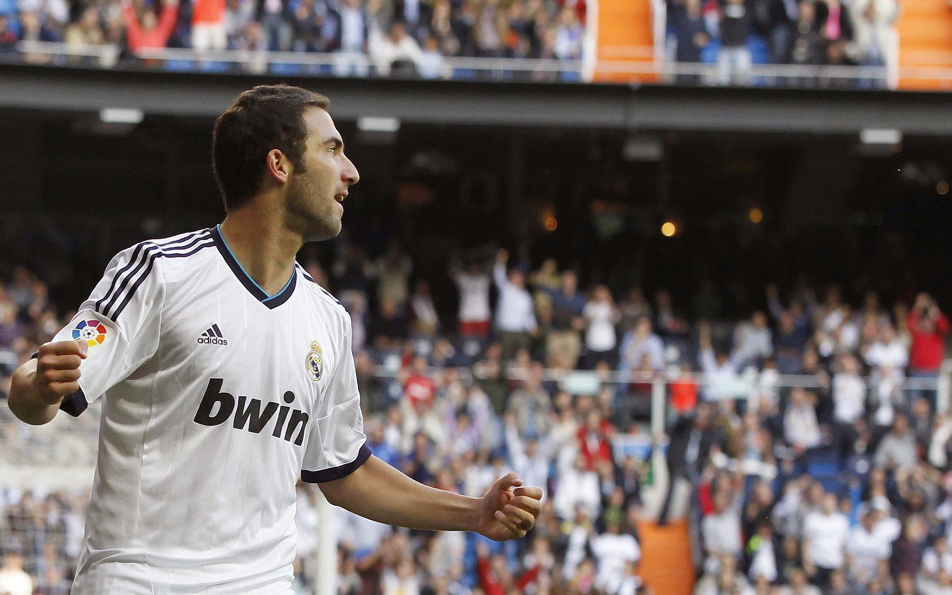 “阿根廷美洲狮队稳步前行，目标瞄准橄榄球未来”