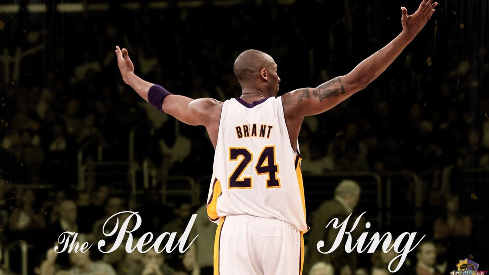 弗朗索瓦·霍尔茨豪伊泽：精准的拦截与传球，南非队的战术构建者